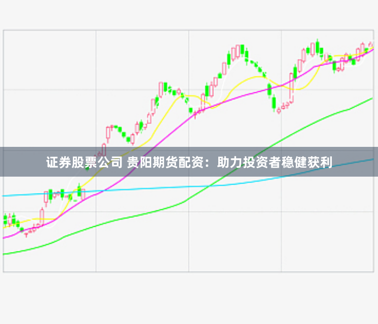 证券股票公司 贵阳期货配资：助力投资者稳健获利